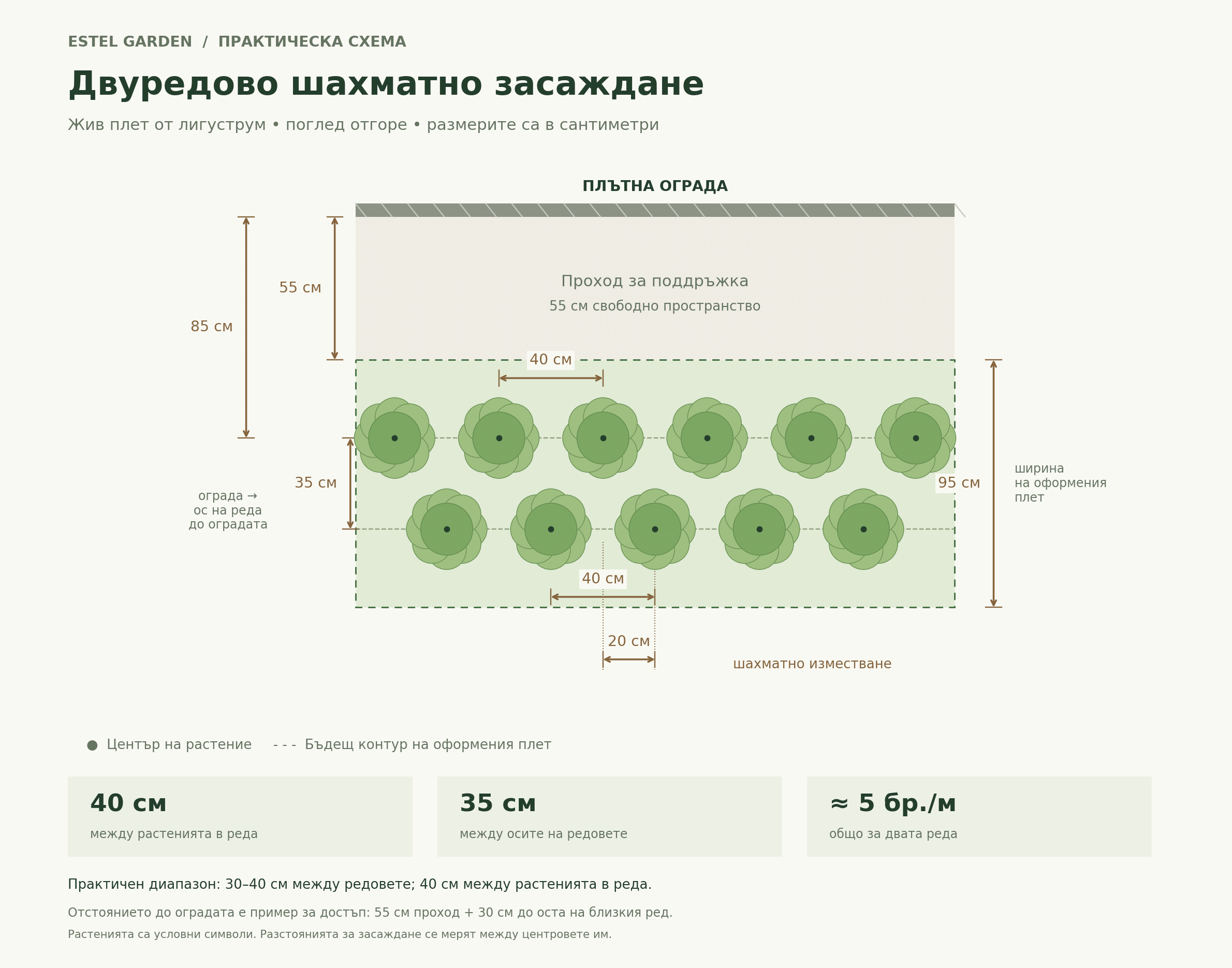 Двуредово шахматно засаждане: 40 см в реда и 35 см между редовете