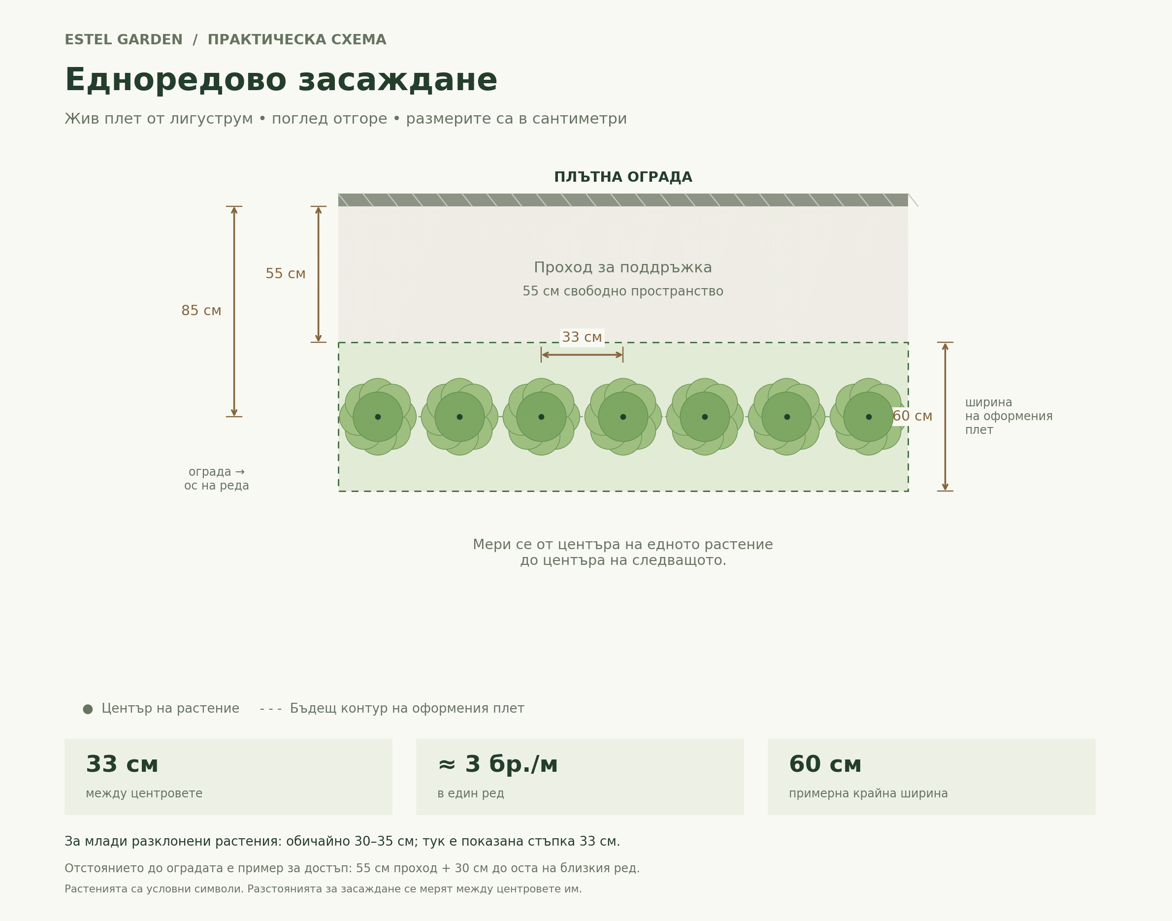 Едноредово засаждане: 33 см между растенията