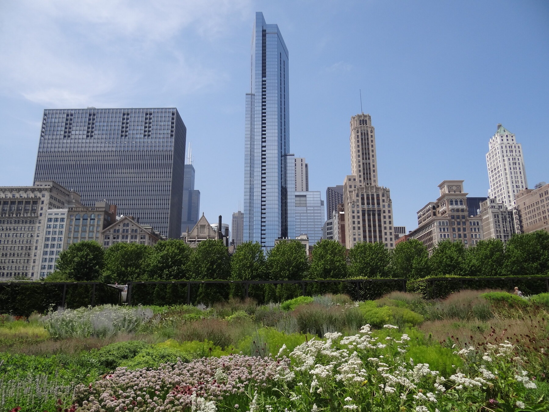 Летни многогодишни растения и различни форми на съцветия в Lurie Garden