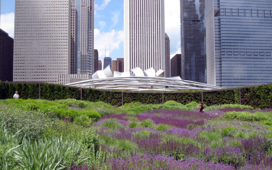 Lurie Garden: красотата на природата в сърцето на Чикаго
