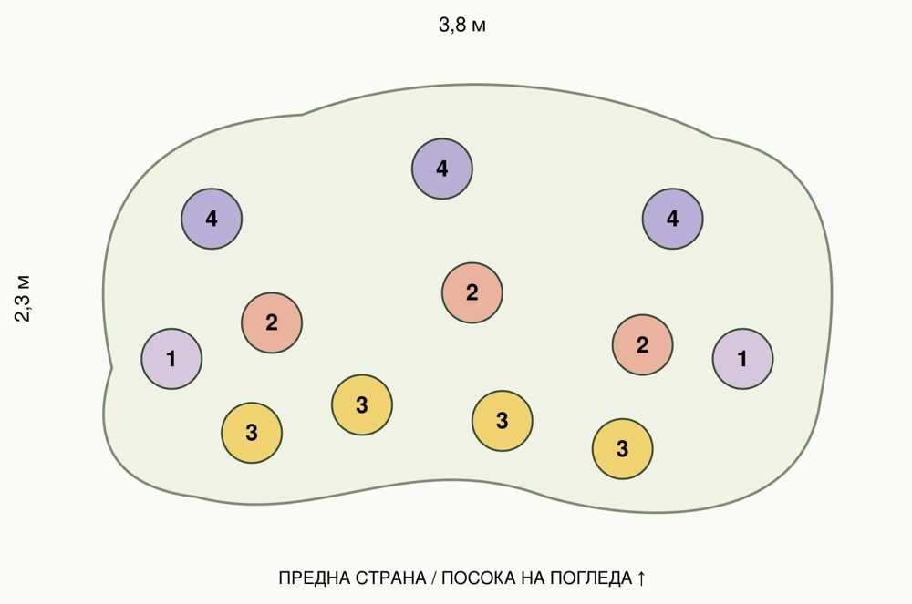 Схема за засаждане на 12 растения от комплект Лятна градина за опрашители