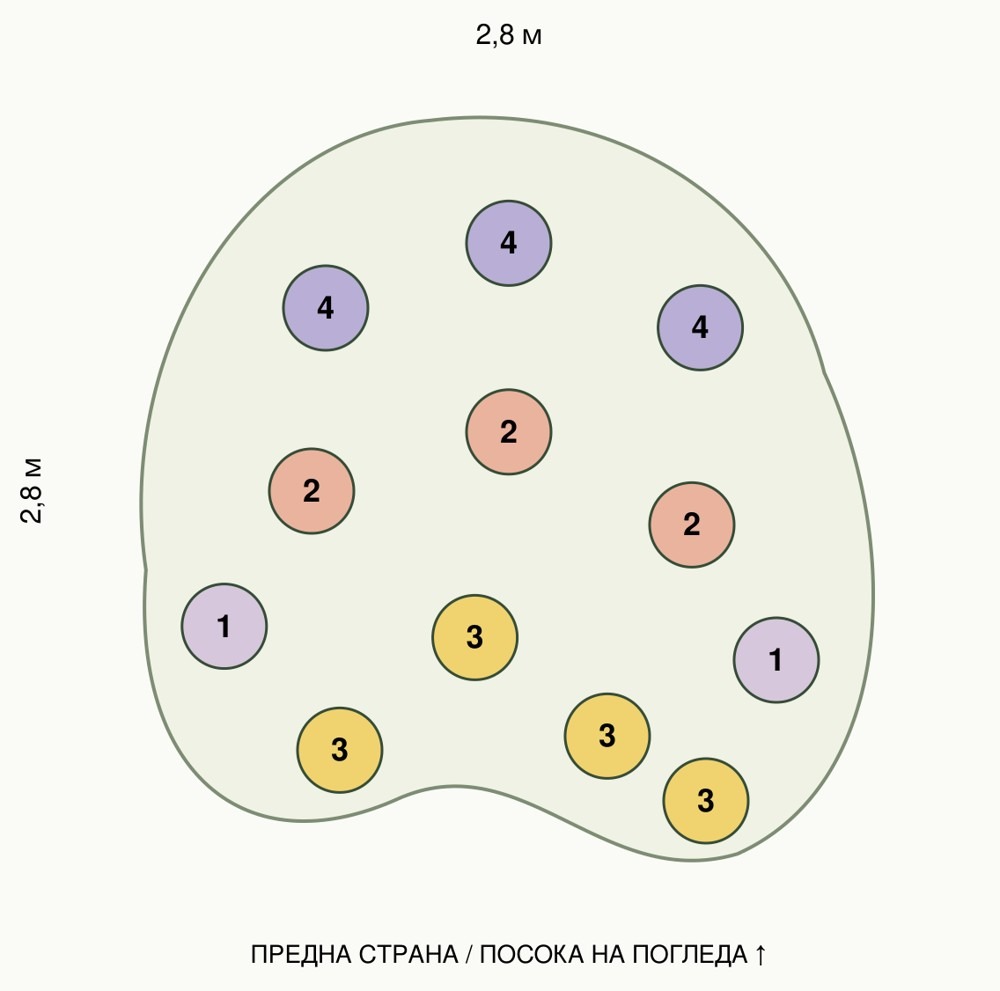 Схема за засаждане на 12 растения от комплект Лятна градина за опрашители
