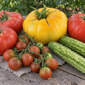 Илюстративна композиция с домати и краставици — комплект „Вкусът от едно време“