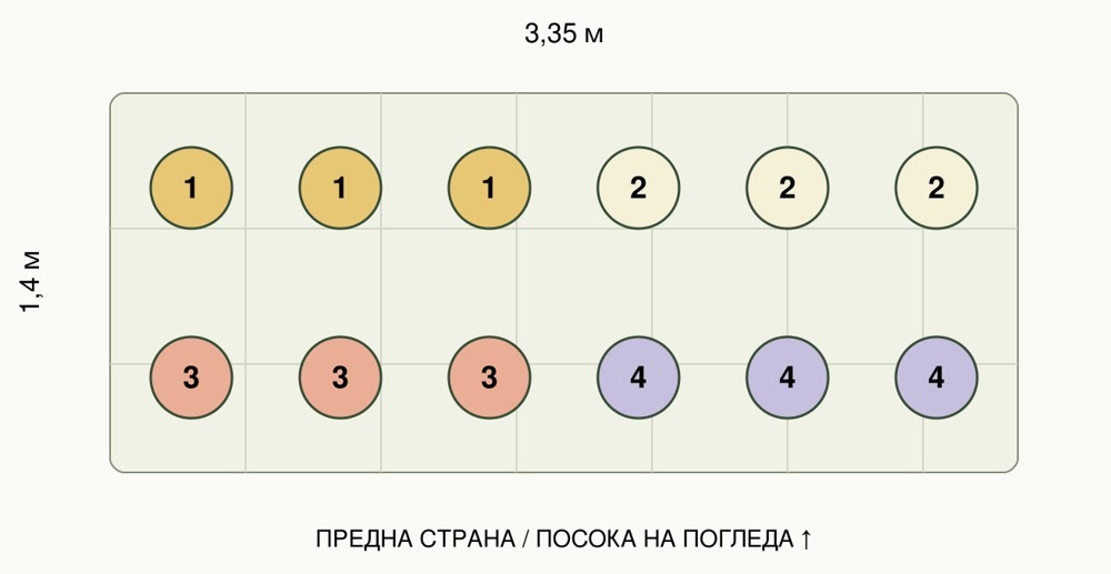 Схема за засаждане на 12 растения от комплект Цветно лято