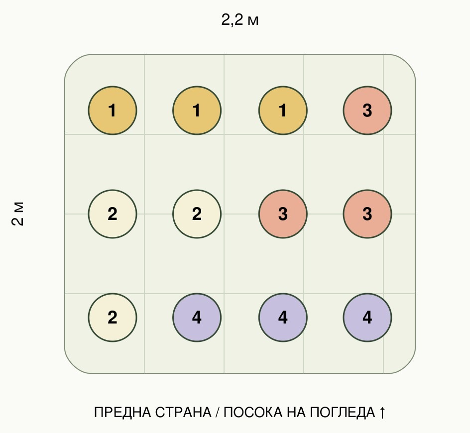 Схема за засаждане на 12 растения от комплект Цветно лято